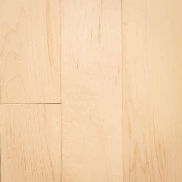 Natural select grade maple floor, varnished Glace color